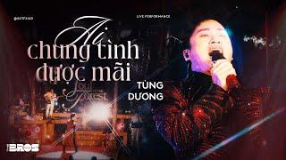 Ai Chung Tình Được Mãi 2023 Version - Tùng Dương x Đông Thiên Đức live at Soul of The Forest