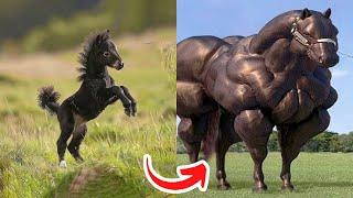 Before & After Animals Growing Up  Amazing Animal Transformation  Animals Grow Up