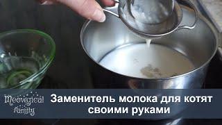  Заменитель кошачьего молока своими руками