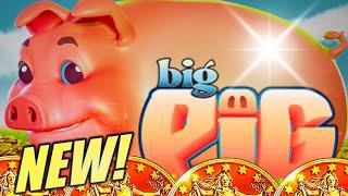 NEW BIG PIGGY IN LAS VEGAS LETS SEE HOW BIG  BIG PIG Slot Machine EVERI