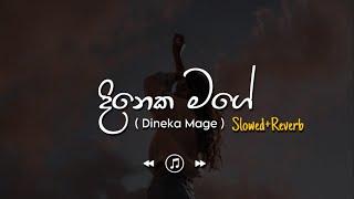 Dineka Mage - දිනෙක මගේ Slowed+Reverb