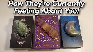  How Theyre Currently Feeling About You Pick A Card Love Reading