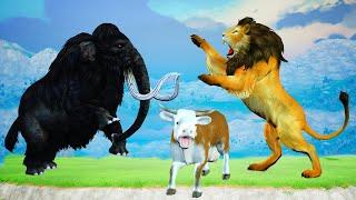 2 Zombie Lions vs Cow Cartoon Saved By Black Woolly Mammoth & Monkey Animal Revolt Epic Battle Fight