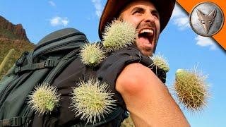 ATTAQUE EXTRÊME DE CACTUS  Animaux sauvage  Brave Wilderness Français