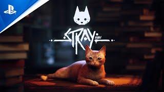 Stray - State of Play June 2022 Trailer  PS5 & PS4 Games