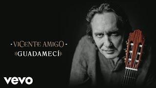 Vicente Amigo - Guadamecí Audio