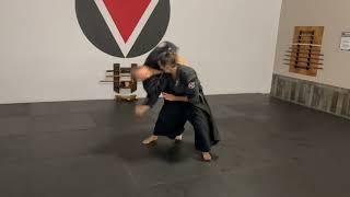 Aikido 合気道 Yokomenuchi Shihonage Zenbu Dojo Sarasota #Aikido #Shorts