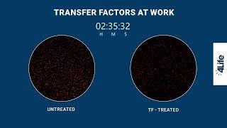 4Life Transfer Factors at Work