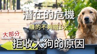 為什麼拒收大型犬?養大狗除了花很多錢之外.還要注意什麼呢