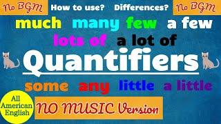 QUANTIFIERS in English No Background Music Version  SOME or ANY? MUCH or MANY?  English Grammar