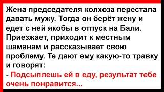 Муж жене в еду подсыпал травку которую ему дали шаманы... Анекдоты Юмор Позитив