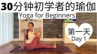 【30分钟初学者的瑜伽课程 Day 1】零基础瑜伽入门系列课程  Yoga for Beginners Series #1