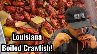 How To Make Louisiana Boiled Crawfish  Southern Cooking  Chef AldenB