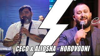 CECO & ALIOSHA & TANGRA FOLK - HOROVODNI CIGANSKI PESNI - LIVE - GIGEN QNICE QNICE MIX