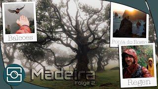 Madeiras Magie Abenteuer im Nebelwald Fanal und ein epischer Sonnenaufgang