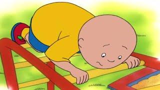 Caillou  Caillous Friend Play at the Park  Videos For Kids  WildBrain Cartoons