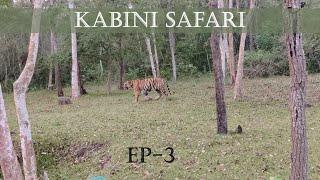 Kabini Evening Safari  2 Tigers sighted  EP - 3