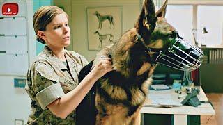 قصة حقيقية - كلب شرس جداً كل الناس بتخاف منه بتقابله بنت بتقدر تروضه وتخليه أفضل كلب فى الجيش