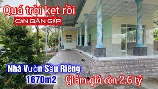 Tập 2857 Chủ nhà vườn sầu riêng giảm giá còn 2.6 tỷ ở Cái Bè Tiền Giang