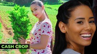 Andreina Deluxe  Rich Off Weed Intercropping Medical Marijuana With Celery