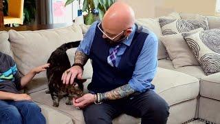 Jackson Galaxy Meets Tara The Hero Cat Who Fought Off An Attacking Dog