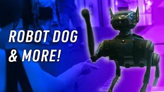 Robotic Dogs AR Glasses Tiny Water Cooled PCs  TECNO Booth Tour at IFA 2024