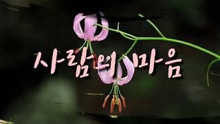 줗은글 사람의 마음