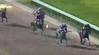 Jockeys Fix Horse Race At Louisiana Downs 7-29-16 The 6 horse wants to win but its Jockey doesnt