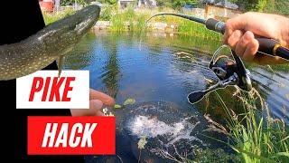 Topwater lure fishing MADE EASY - How to catch pike