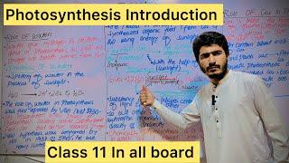 Photosynthesis A brief Introduction#mdcat biology# nmdcat