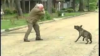 SHOCKING Dog Attack   Brave Guy Fights Vicious Dog