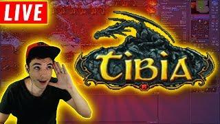  LIVE ON -  TIBIA - KALIBRA ED 300+#META11K