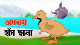 অসহায় হাঁস ছানা  Helpless Ducklings  Notun Bangla Golpo  Rupkothar Cartoon Golpo  Fairy Tales