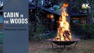 Summer Campfire Yellowstones Cabin in the Woods Fireplace 4K 12 Hours