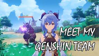 Meet my Genshin team
