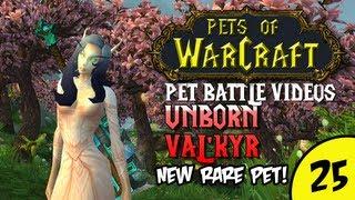 Pets of Warcraft Video 25 - Unborn Valkyr - The World of Warcraft Battle Pet Vlog