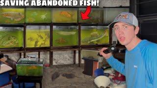 I Saved Fish From an ABANDONED House