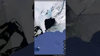 found Megalodon on Google earth?