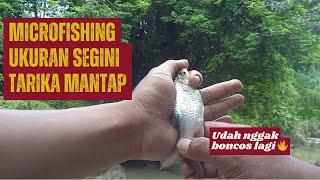 Tuman pake tehnik ini?? #microfishing #mancingliar #mancingmania