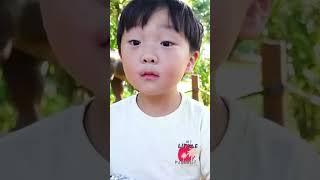 Boy Gets a Surprise from a Dinosaur  at the Zoo