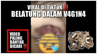 Viral‼️ Maggots in the Vagina on TikTok this is what the experts say