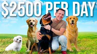 Making $2500 Per Day with a Luxury Dog Hotel  Undercover Millionaire