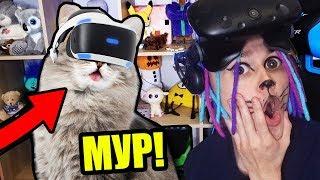 МОЙ КОТИК ГЕННАДИЙ ПЕРВЫЙ РАЗ ИГРАЕТ В ВИРТУАЛЬНУЮ РЕАЛЬНОСТЬ CATIFY VR