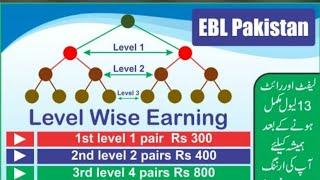 EBL online earning in Pakistan - Information about Online earning