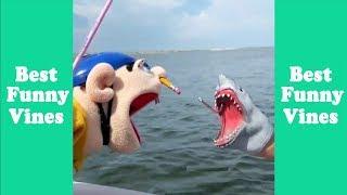 Funny Shark Puppet Compilation 2019  Shark Puppet Clips  - Best Funny Vines