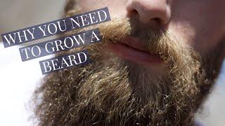 Why you should grow a beard - Beardcare with Beardster