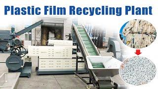 Plastic Film Recycling Plant  Plastic Granules Manufacturing Process