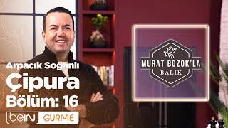 Murat Bozokla Balık 16. Bölüm  Arpacık Soğanlı Çipura