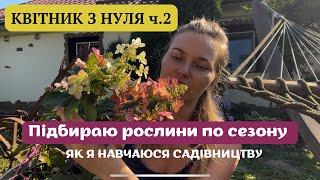 КВІТНИК З НУЛЯ ч.2МІЙ ВИБІР РОСЛИН ПО СЕЗОНУ 