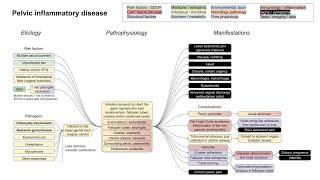 Pelvic inflammatory disease PID mechanism of disease